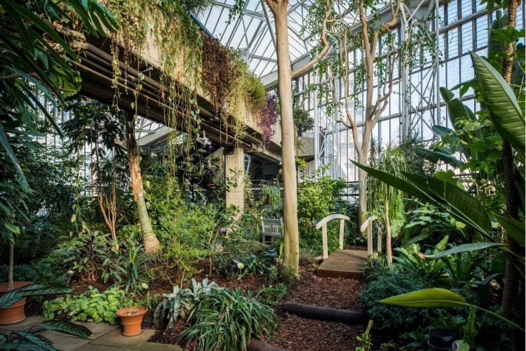 The lush, serene surroundings of the Barbican Conservatory make for a peaceful London birthday idea together.