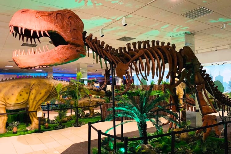 A dinosaur in an indoor exhibit