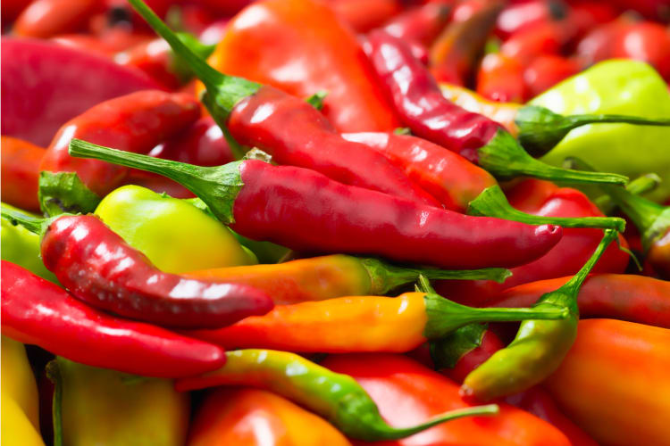 some chili peppers can be considered 