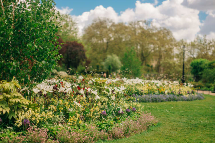 A roomantic date idea in London is to stroll through it's many parks