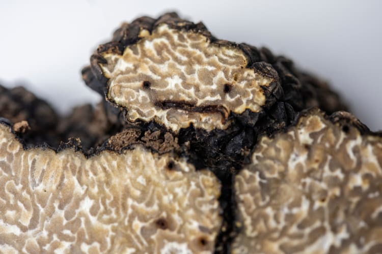 Truffles are often confused for mushrooms