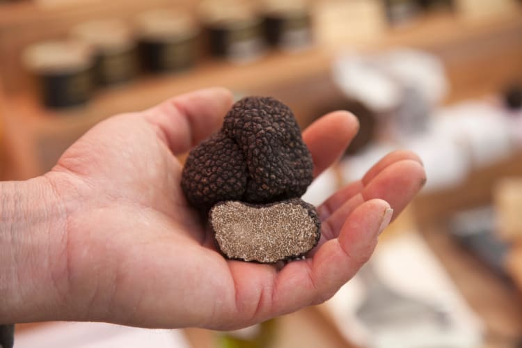 What are truffles? Truffles have a very short shelf life. 