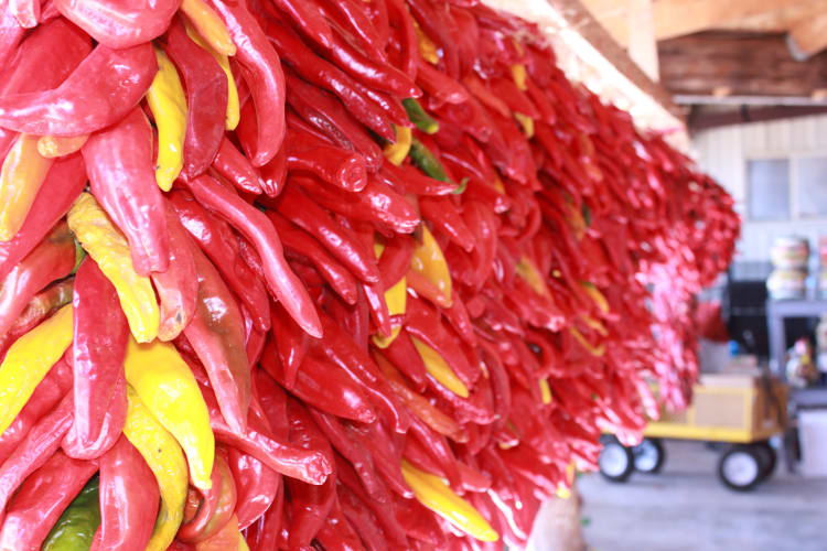 A pile of New Mexico Chiles