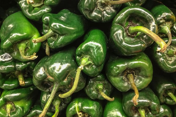 Pasilla Peppers