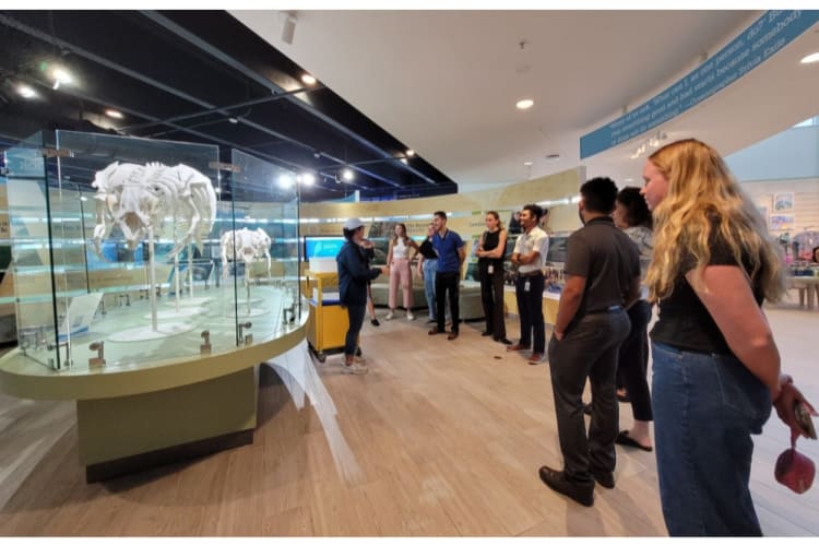 A guided tour at Manatee Lagoon