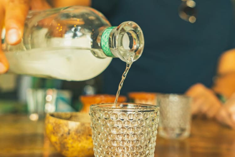 There are many differences between mezccal vs. tequila