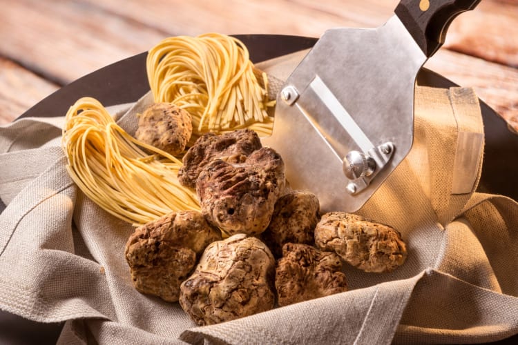 White truffles are one the most expensive foods in the world
