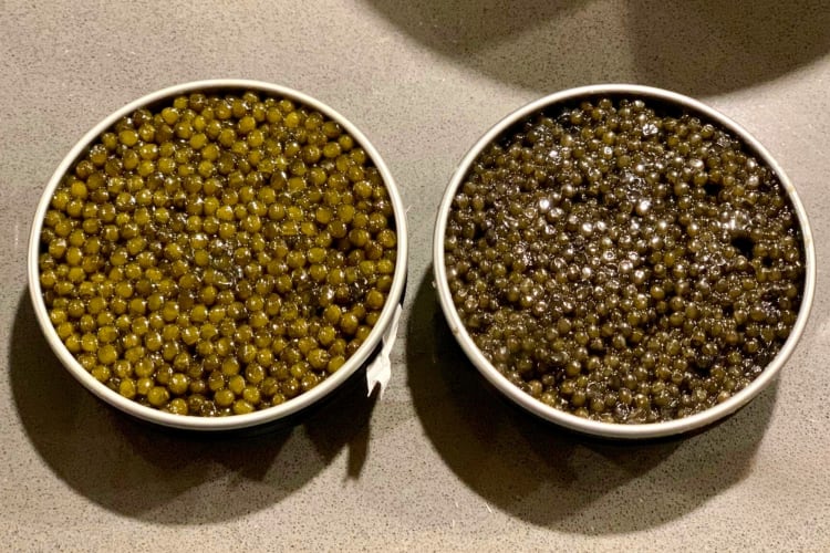 Almas caviar is the most expensive food in the world