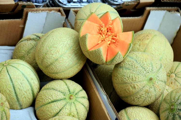 Muskmelons for sale at a market