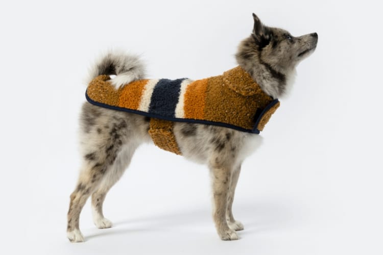 A dog coat is one of the top NYC gifts for pet parents