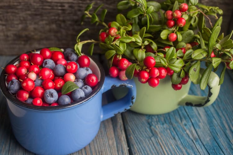 New Jersey's food scene lives up to its nickname, 