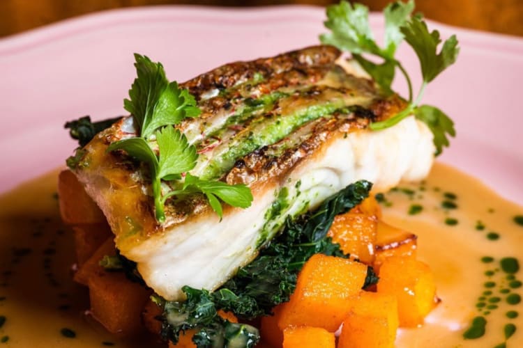 A fish dish with cilantro on a pink plate