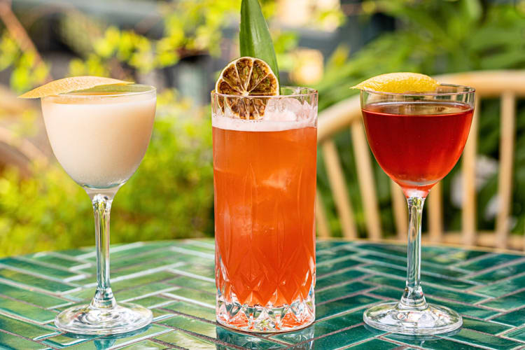 Eye-level view of three drinks from Nolita Hall