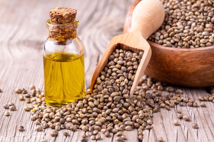 Hemp seed oil is an interesting olive oil substitute