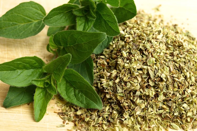 Italian spice, oregano, next to oregano leaves