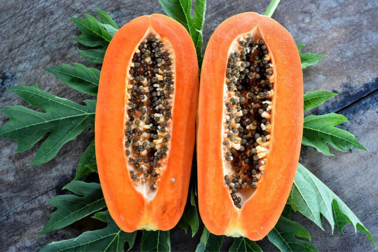 A papaya cut in two with leaves around it 