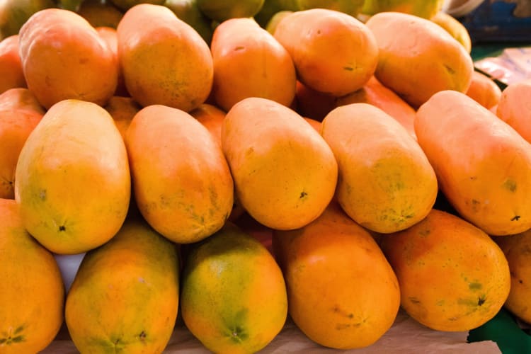 Papayas for sale at a market