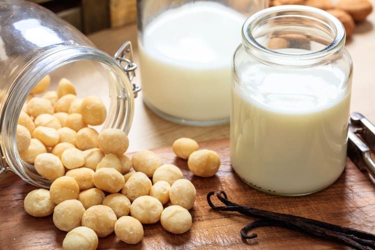 A glass of macadamia nut milk next to whole macadamias