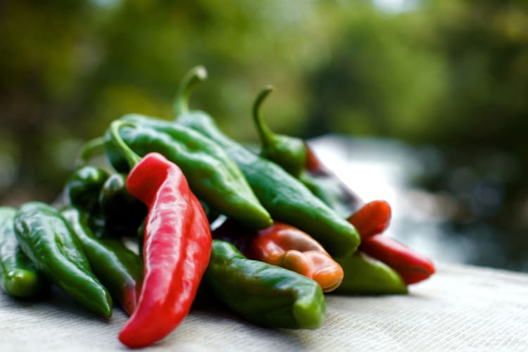 Some green and red Anaheim peppers