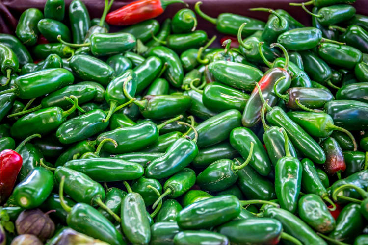 A poblano pepper is less spicy than a jalapeño pepper