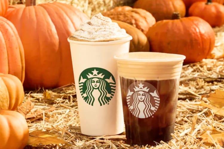 Two coffee drinks next to pumpkins