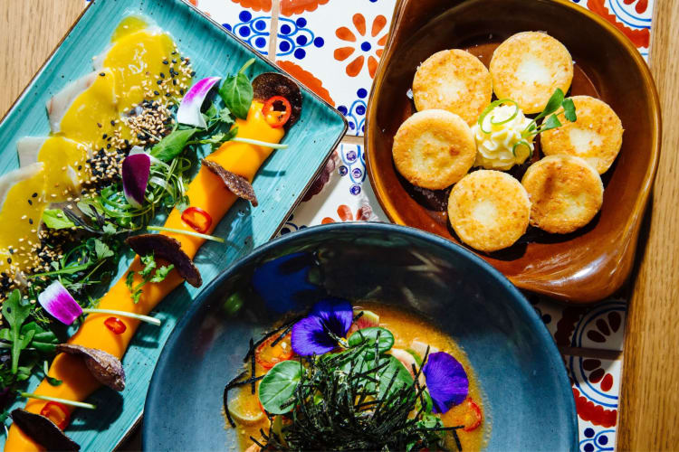 Three dishes on colourful plates 