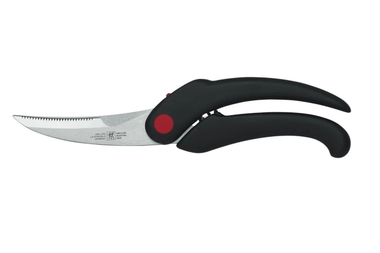 Best Poultry Shears, Top 6 for 2024