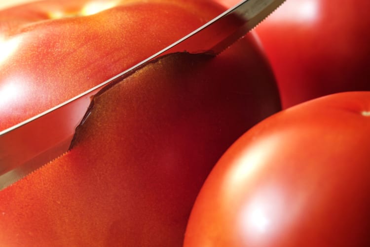 slicing tomato