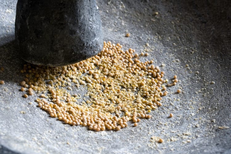 All types of mustard start with crushed mustard seeds.