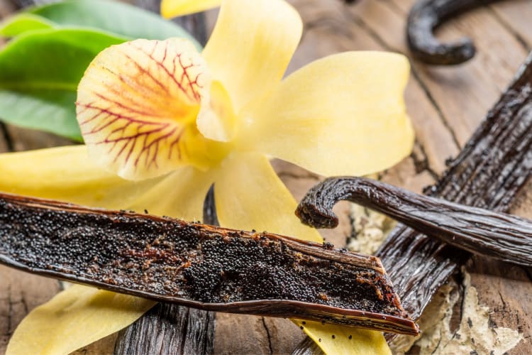 vanilla orchid and dried vanilla fruits