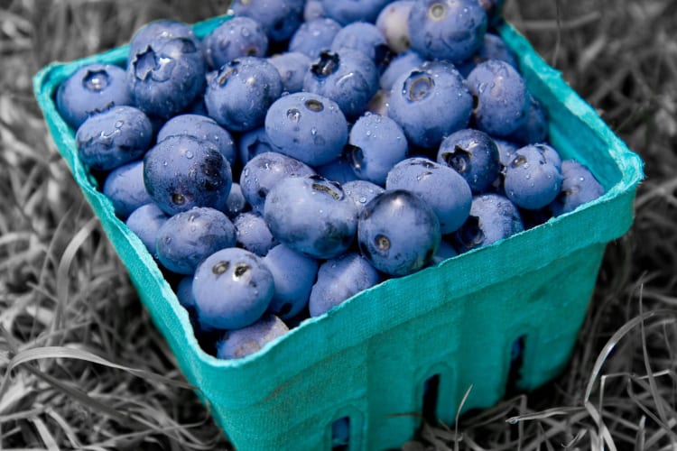 a pint of blueberries