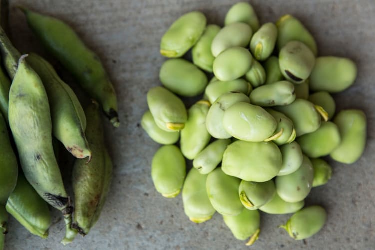 butter beans and pod