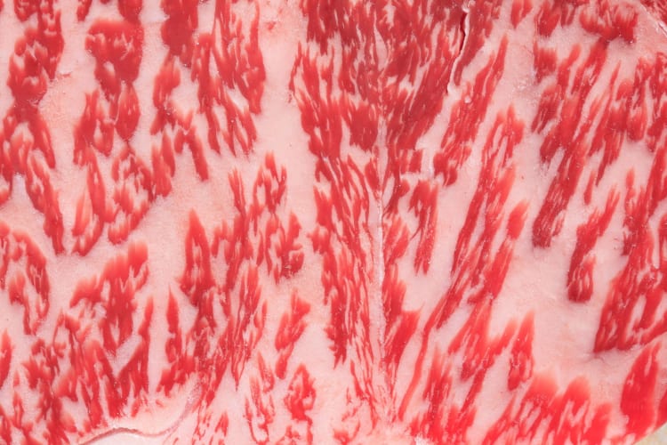 Miyazaki wagyu marbling