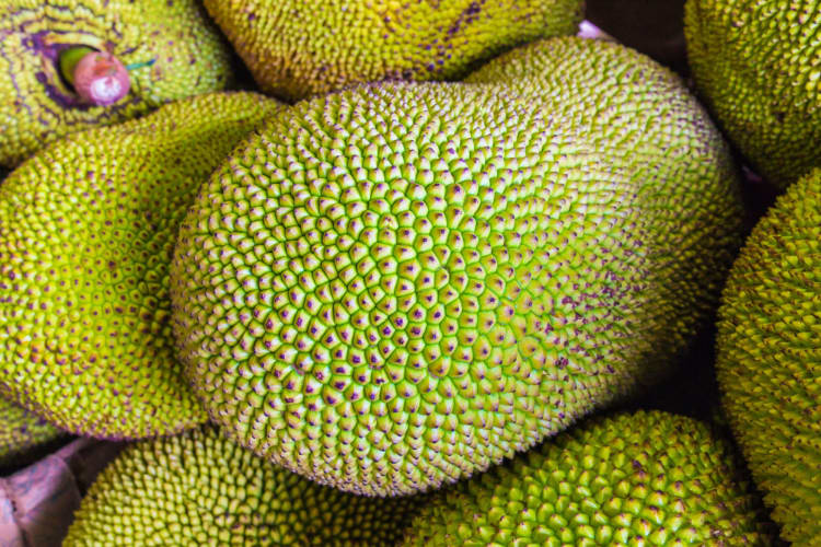 a group of jackfruits for sale