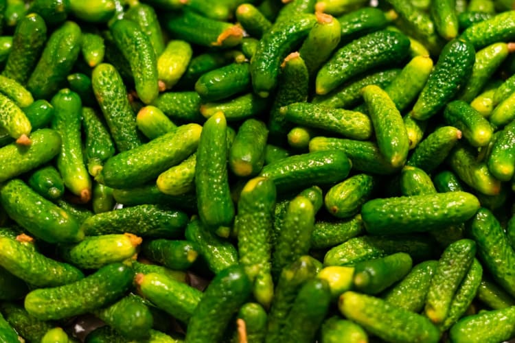 What Are Cornichons, and What Do They Taste Like?