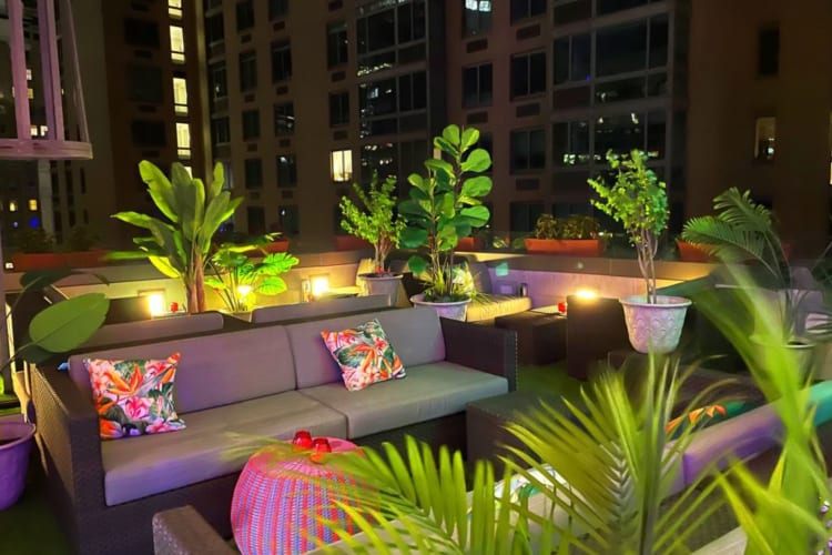 a rooftop, rainforest-themed fun restaurant in NYC