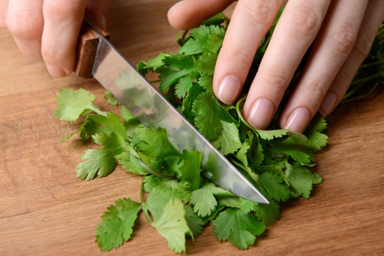 chopping cilantro