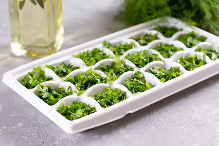 You can freeze cilantro with an ice cube tray.