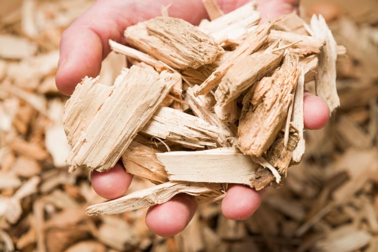 man's hand holding wood chips