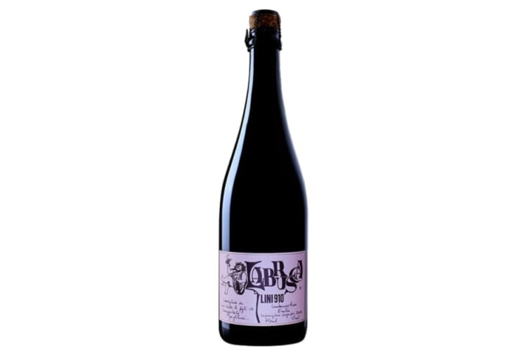 Lini 910 Labrusca Lambrusco Rose