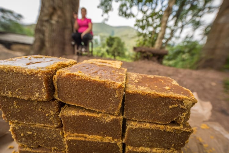 blocks of panella in a rural setting