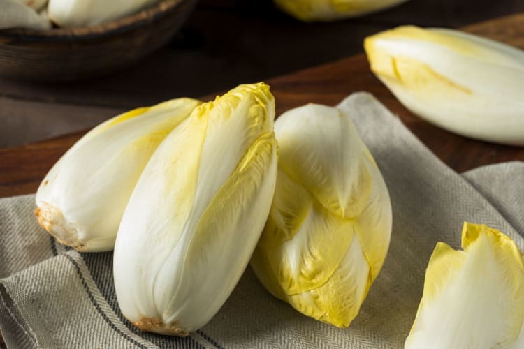 white endives