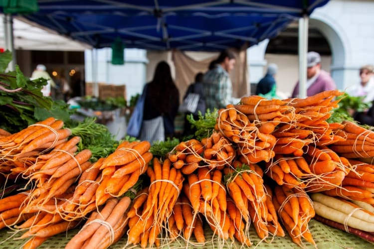 carrots for sale at Ferry Building Farmers Market