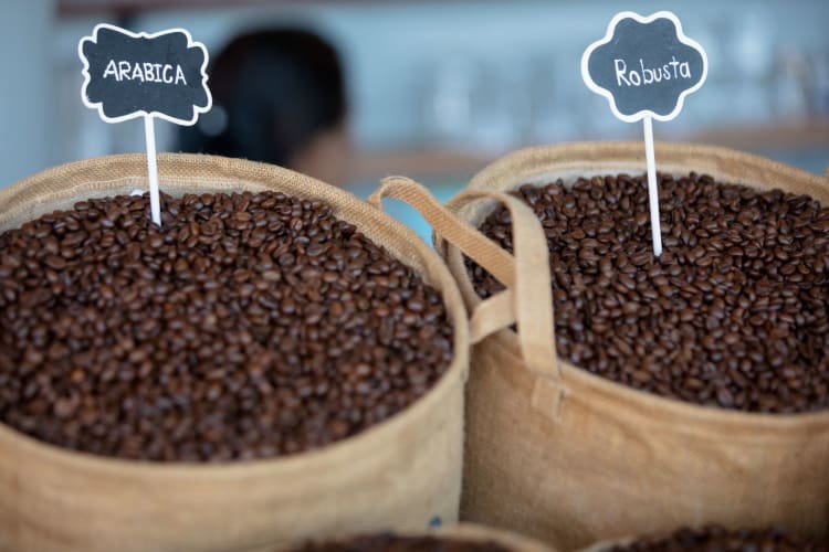 two baskets of coffee beans labeled arabica and robusta