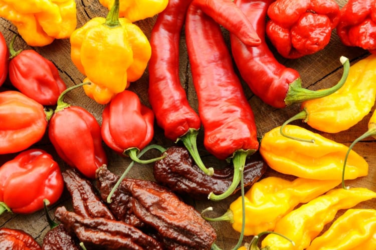 a variety of colorful peppers