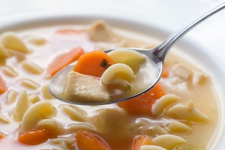 chicken noodle soup