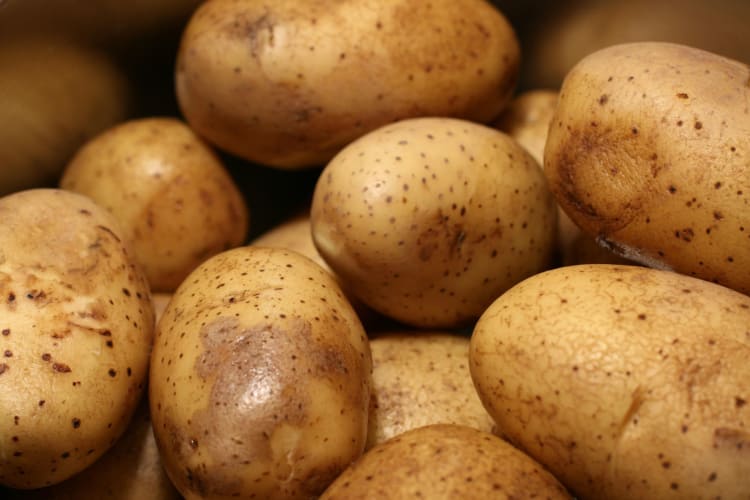 Yukon gold potatoes