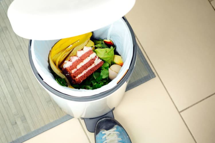 a piece of red velvet cake in the garbage, signifying food waste