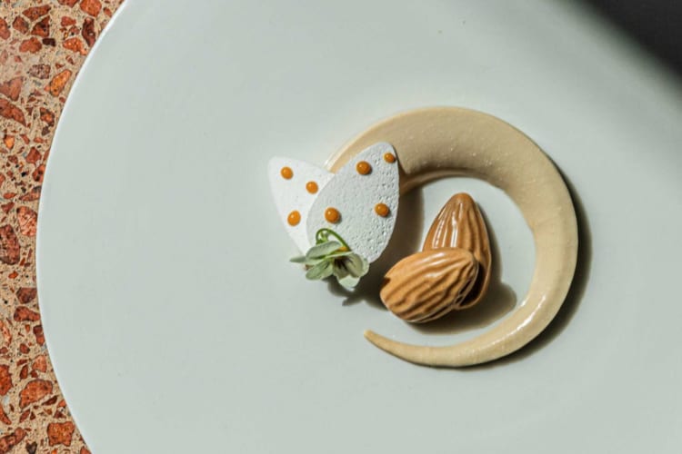 an artfully designed dessert plate featuring shades of tan and white 