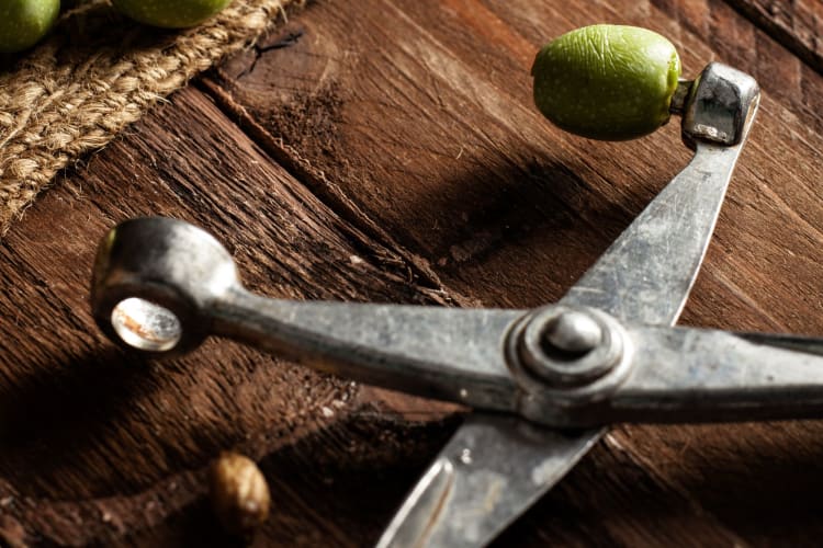 Olive pitter tool